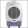 Symphony SUMO Cooler - Click here to View more details about this Product